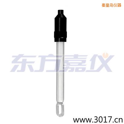 秦皇島玻璃外殼無(wú)溫補(bǔ)兩線電導(dǎo)率電極