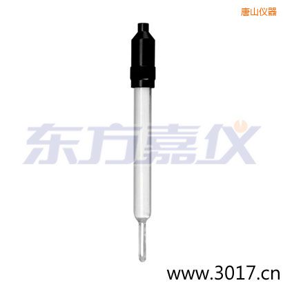 唐山玻璃外殼無溫補兩線電導率電極