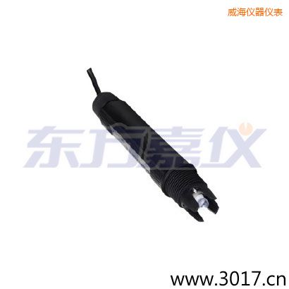 威海PPS外殼,鉑金環(huán)ORP電極